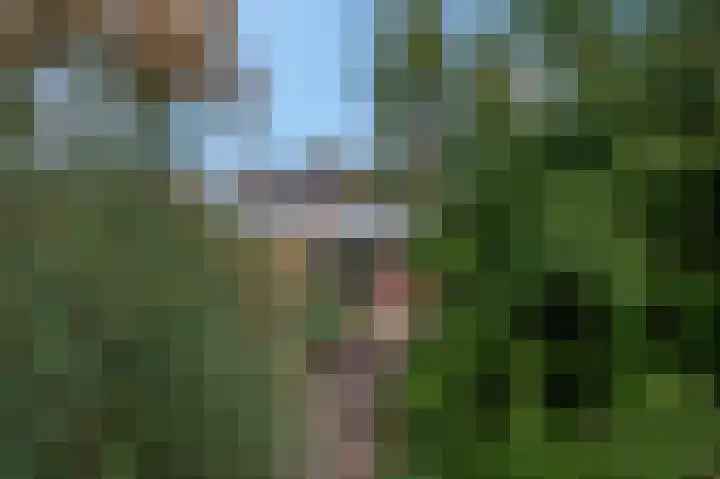 Zilvervoslaan 9 Lunteren thumbnail 40