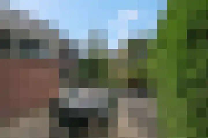 Zilvervoslaan 9 Lunteren thumbnail 41