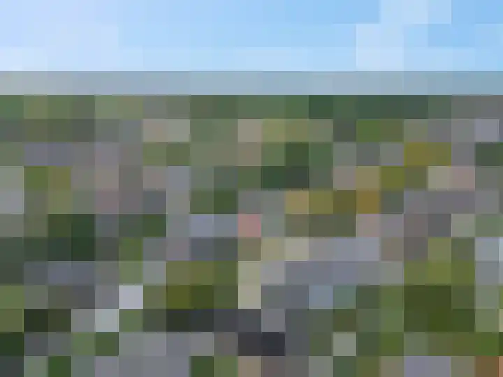 Zilvervoslaan 9 Lunteren thumbnail 44