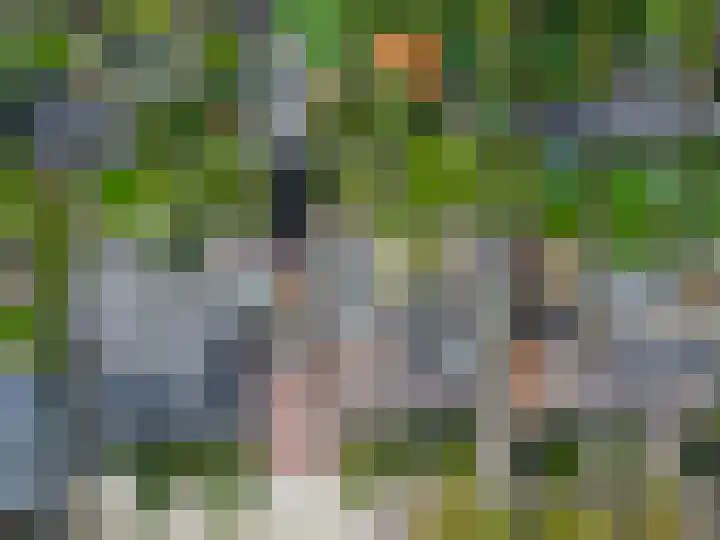 Zilvervoslaan 9 Lunteren thumbnail 45