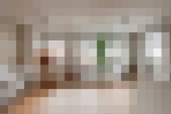 Zilvervosstraat 1 Culemborg thumbnail 17