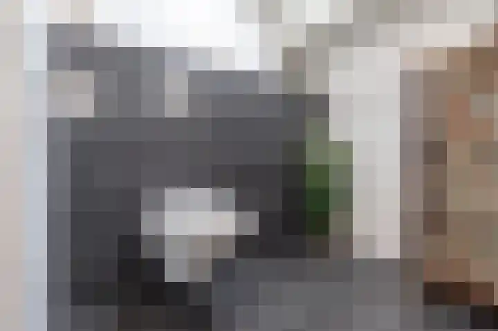 Zilvervosstraat 1 Culemborg thumbnail 36