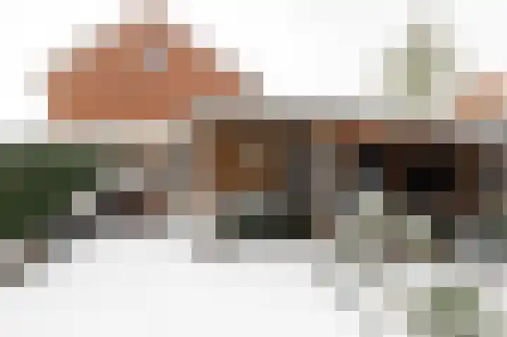 Zilvervosstraat 1 Culemborg thumbnail 4