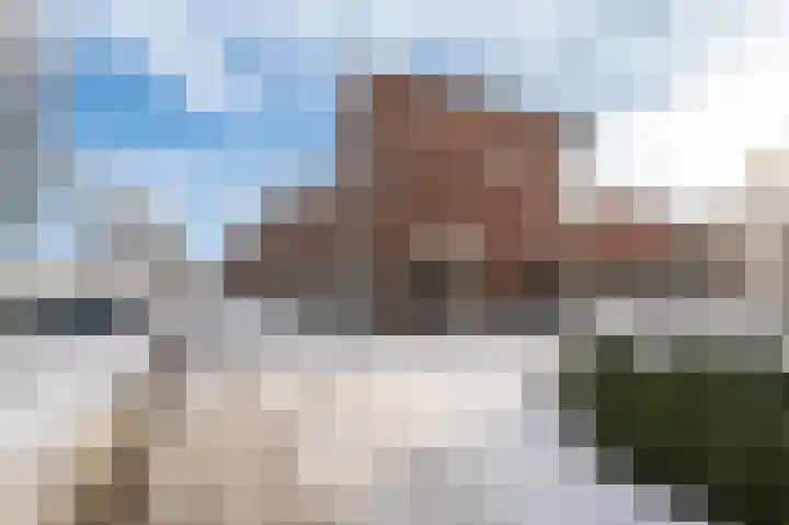Zilvervosstraat 1 Culemborg thumbnail 49
