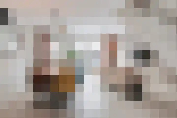 Zilvervosstraat 1 Culemborg thumbnail 8