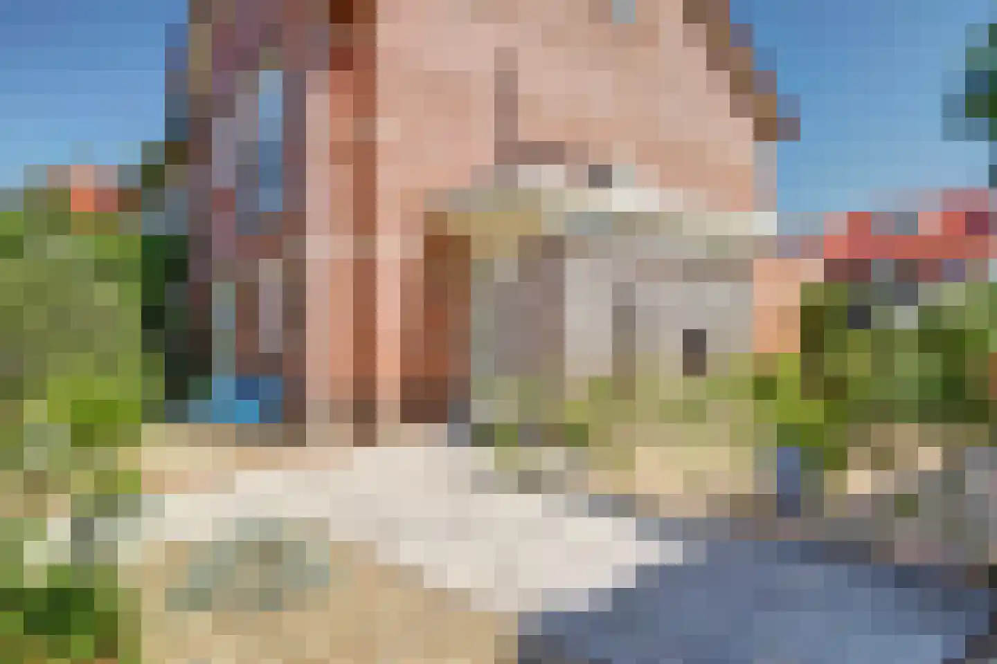 Zilvervosstraat 11 Culemborg thumbnail 7