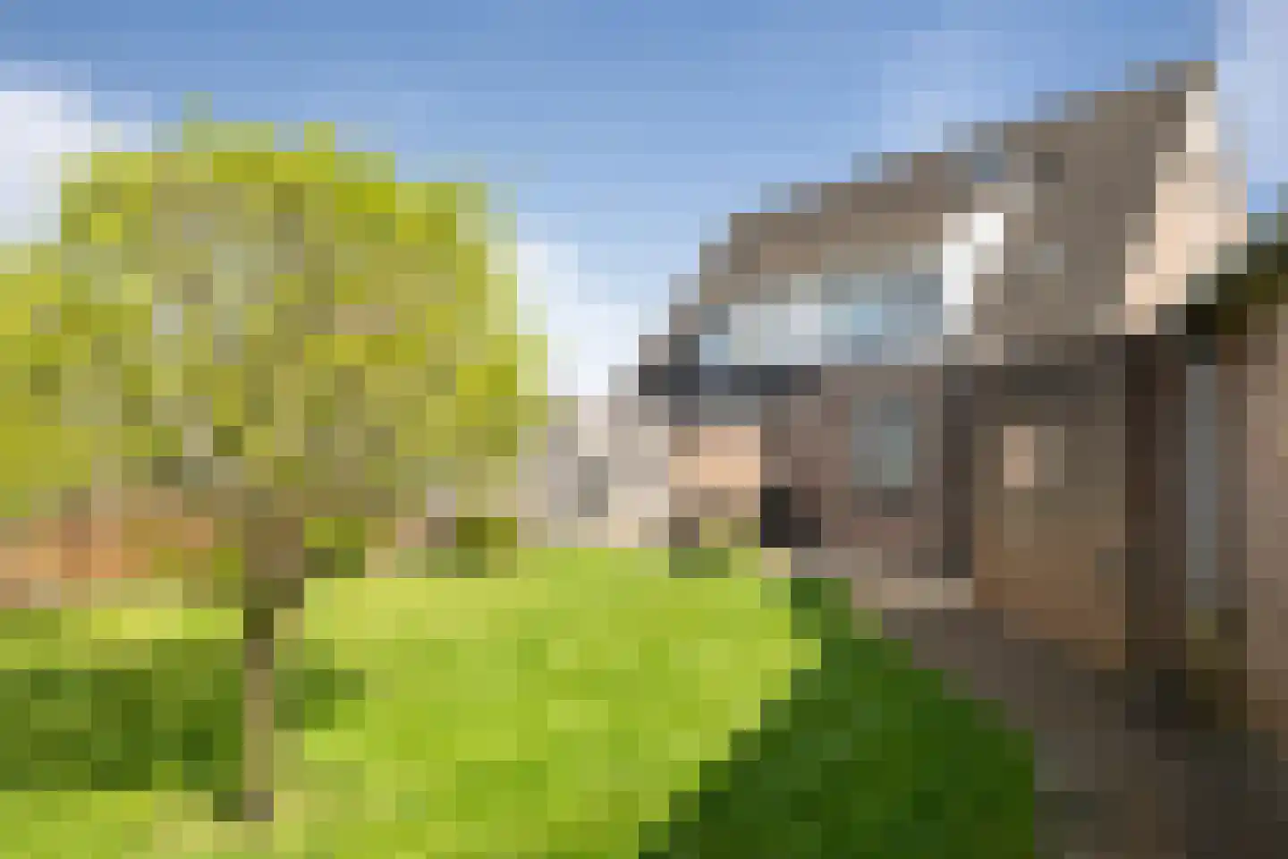 Zilverzand 16 Nieuw-Amsterdam thumbnail 30