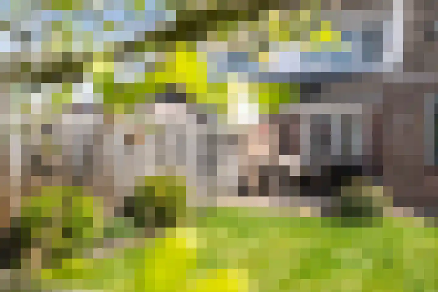 Zilverzand 16 Nieuw-Amsterdam thumbnail 31