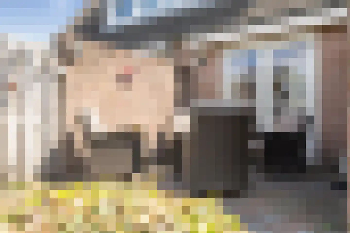 Zilverzand 16 Nieuw-Amsterdam thumbnail 32