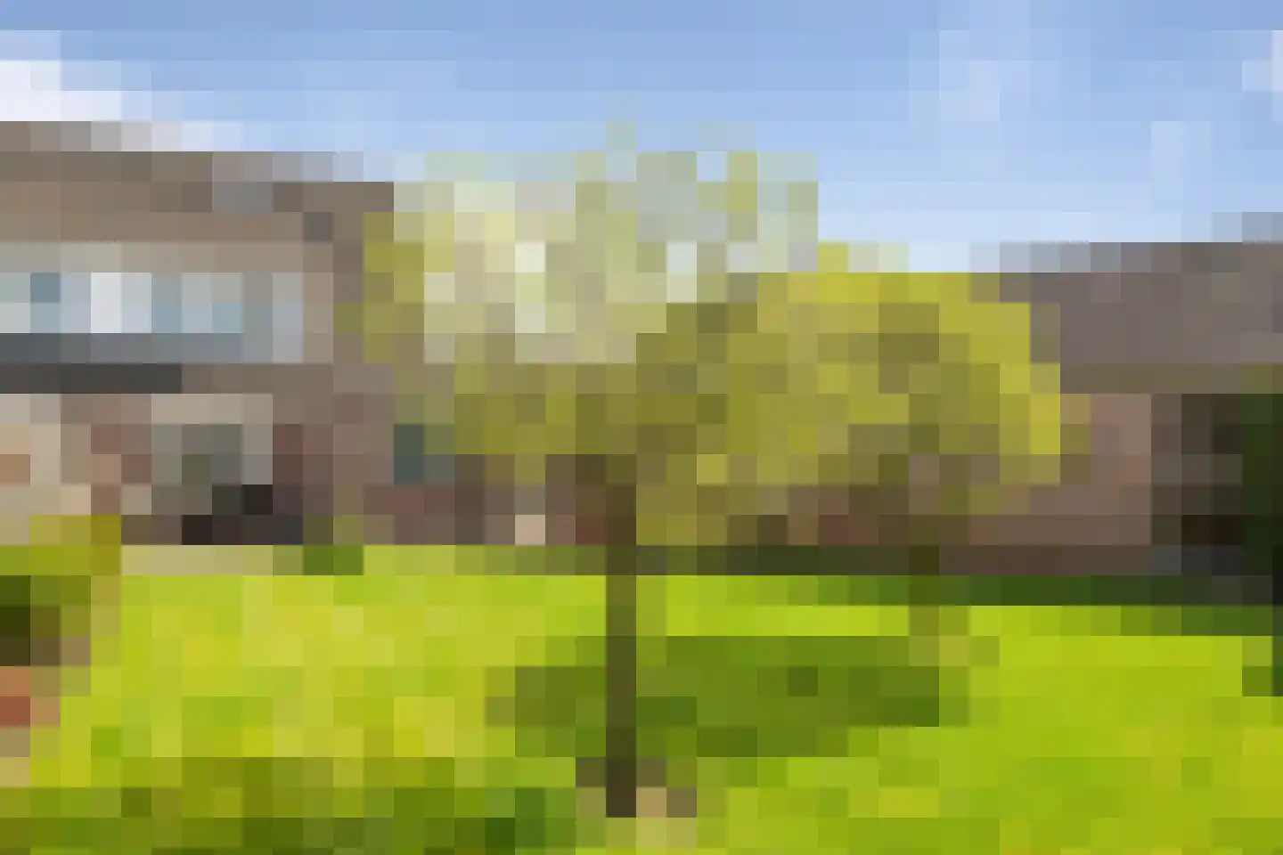 Zilverzand 16 Nieuw-Amsterdam thumbnail 34