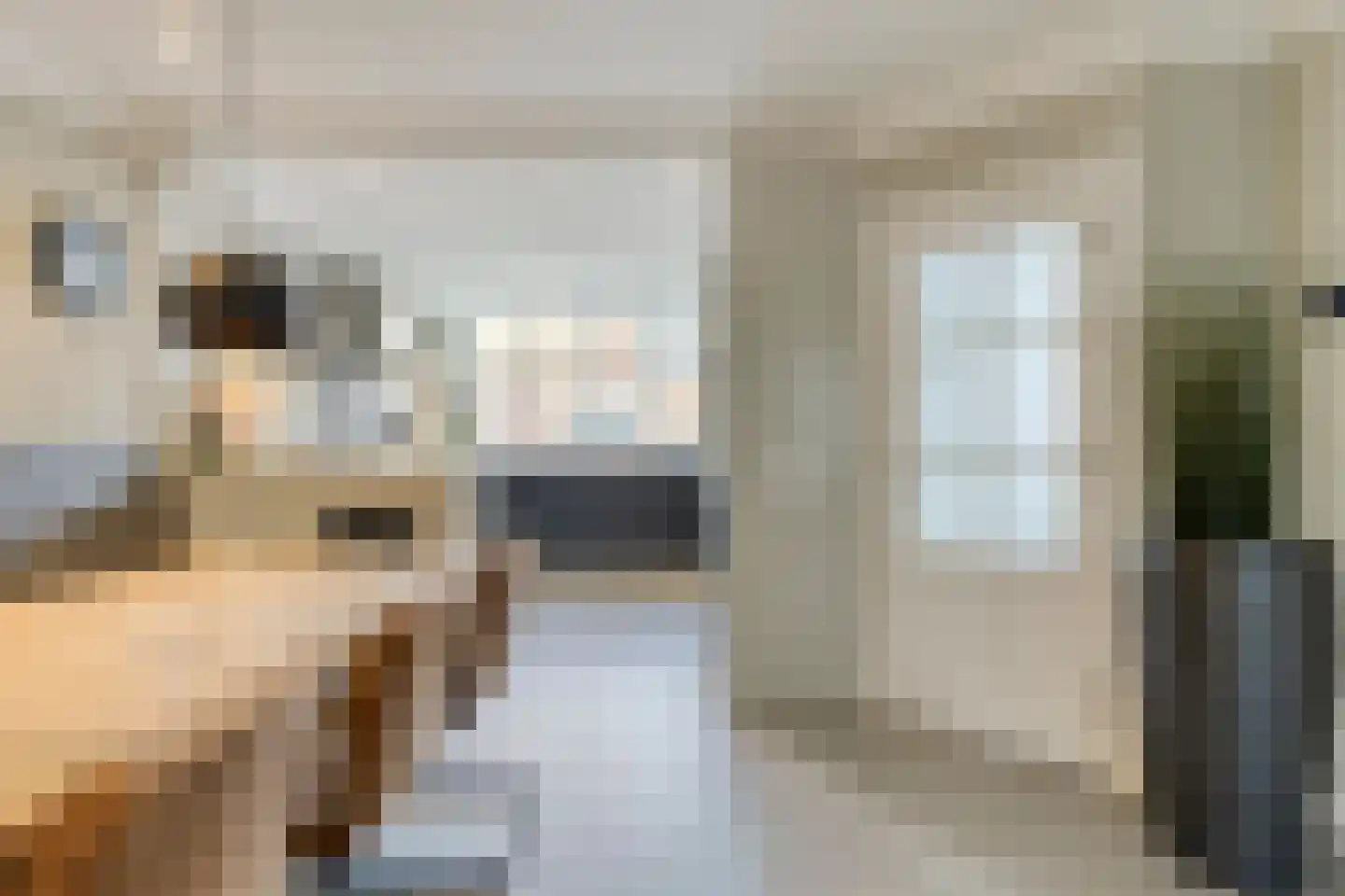 Zilverzand 18 Oirschot thumbnail 19