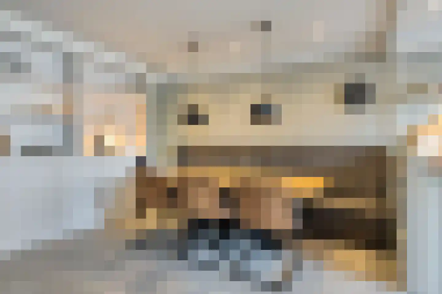 Zilverzand 18 Oirschot thumbnail 20