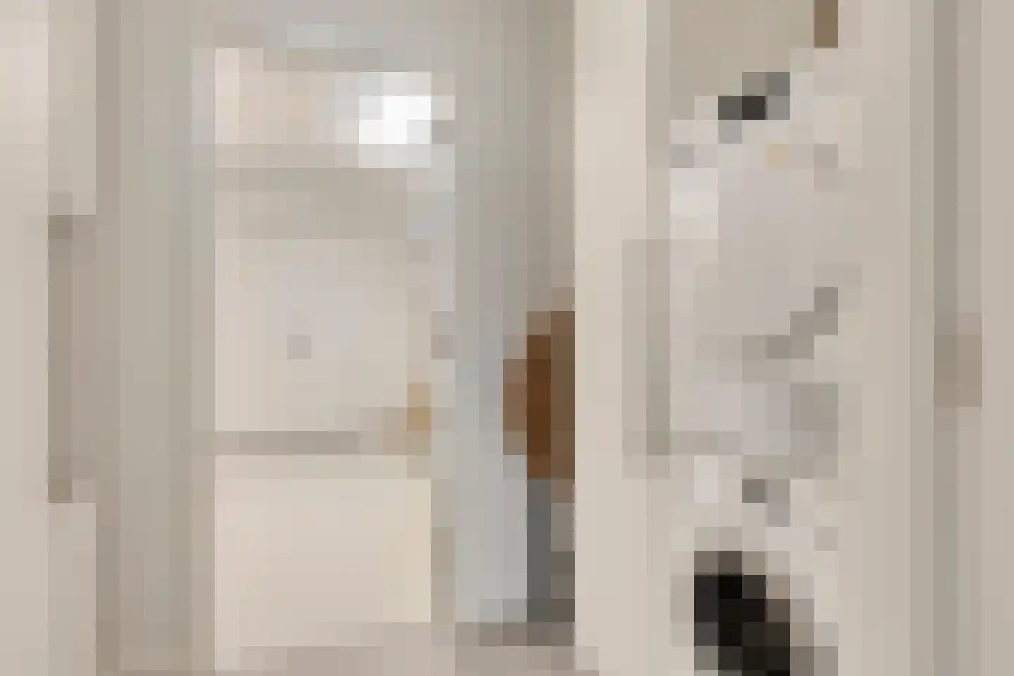 Zilverzand 18 Oirschot thumbnail 28