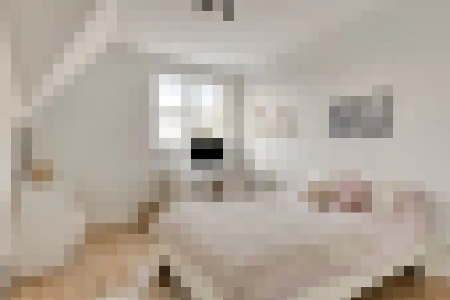 Zilverzand 18 Oirschot thumbnail 31
