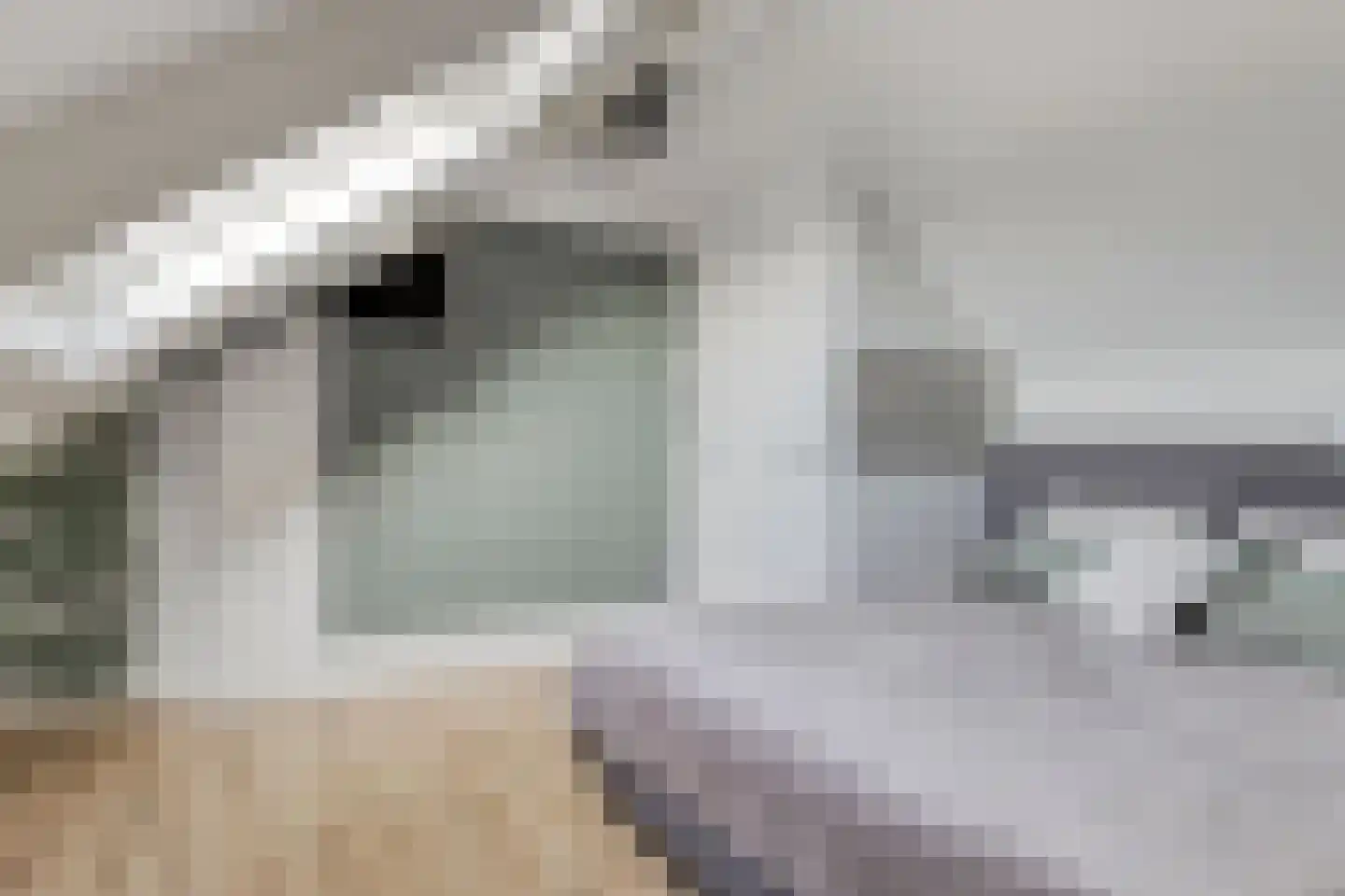Zilverzand 18 Oirschot thumbnail 40