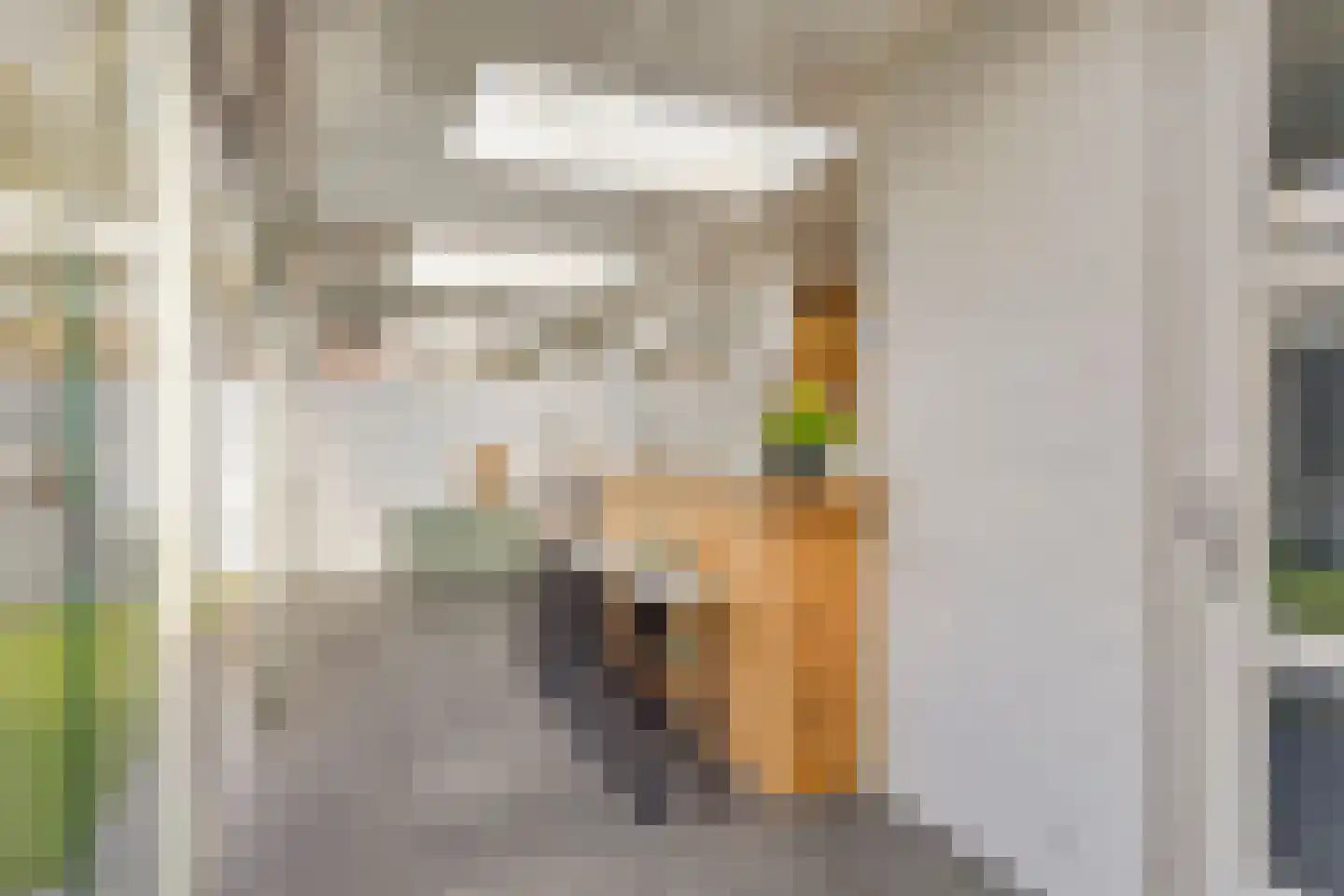 Zilverzand 18 Oirschot thumbnail 47