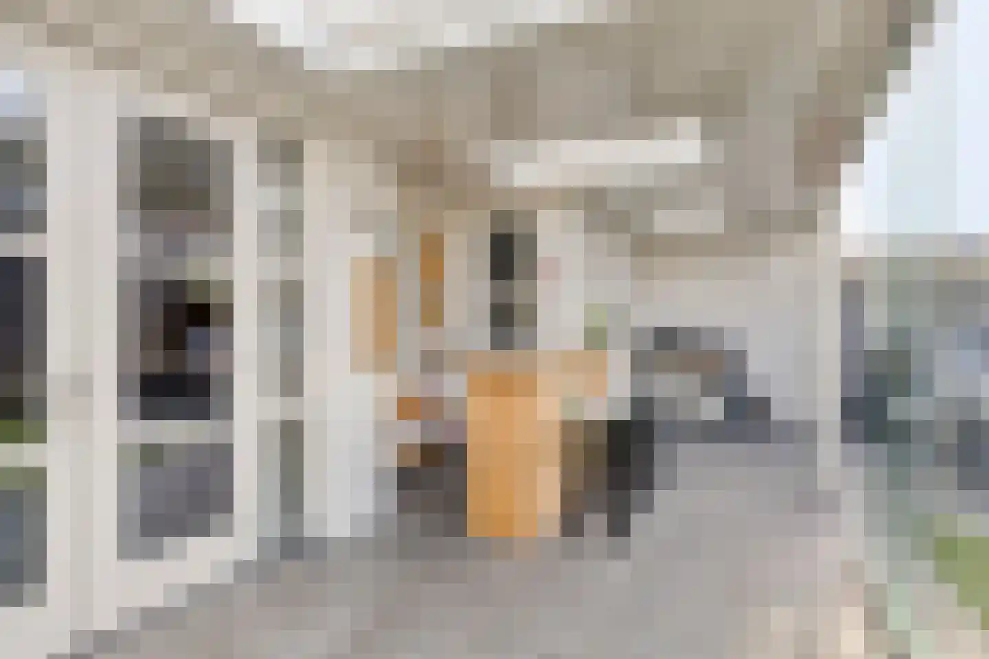 Zilverzand 18 Oirschot thumbnail 48