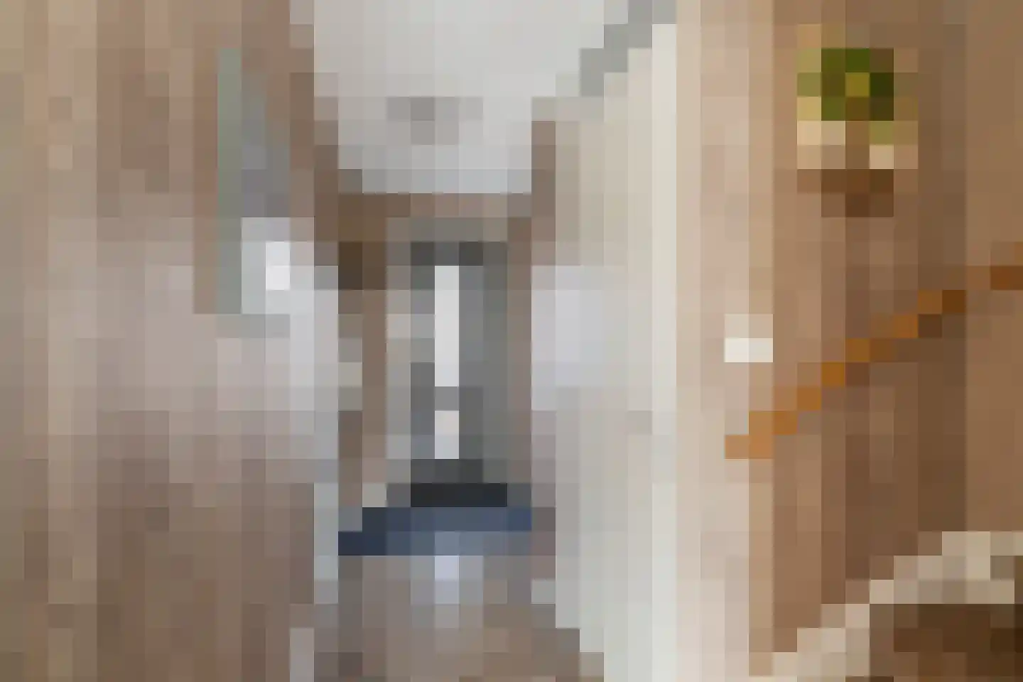 Zilverzand 26 Naaldwijk thumbnail 16