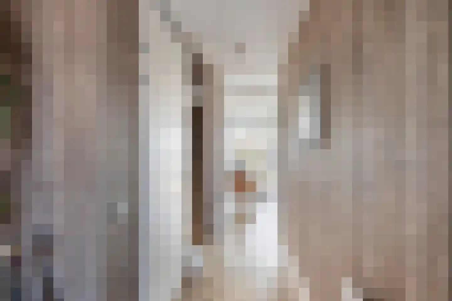 Zilverzand 26 Naaldwijk thumbnail 17