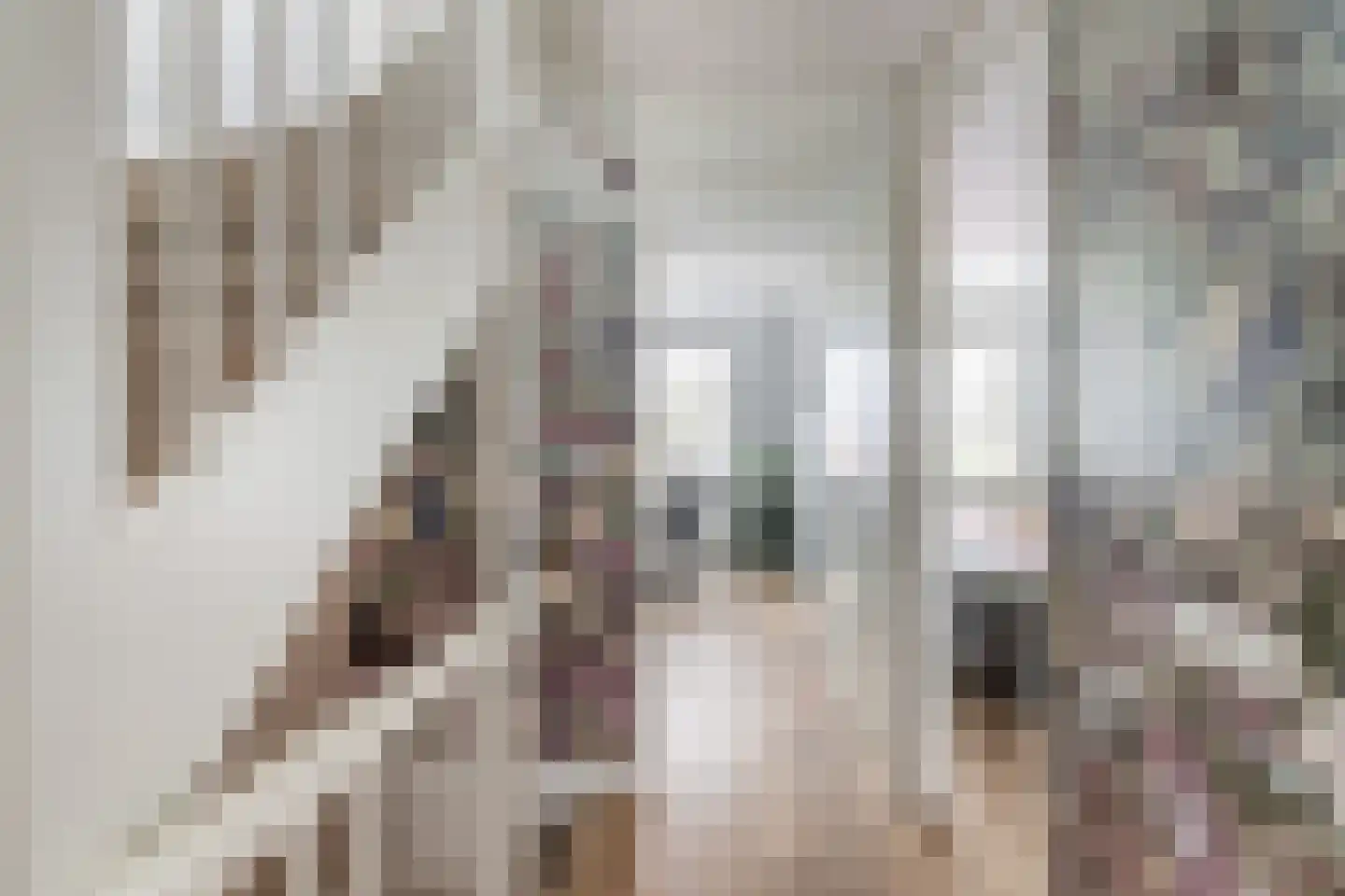 Zilverzand 26 Naaldwijk thumbnail 24