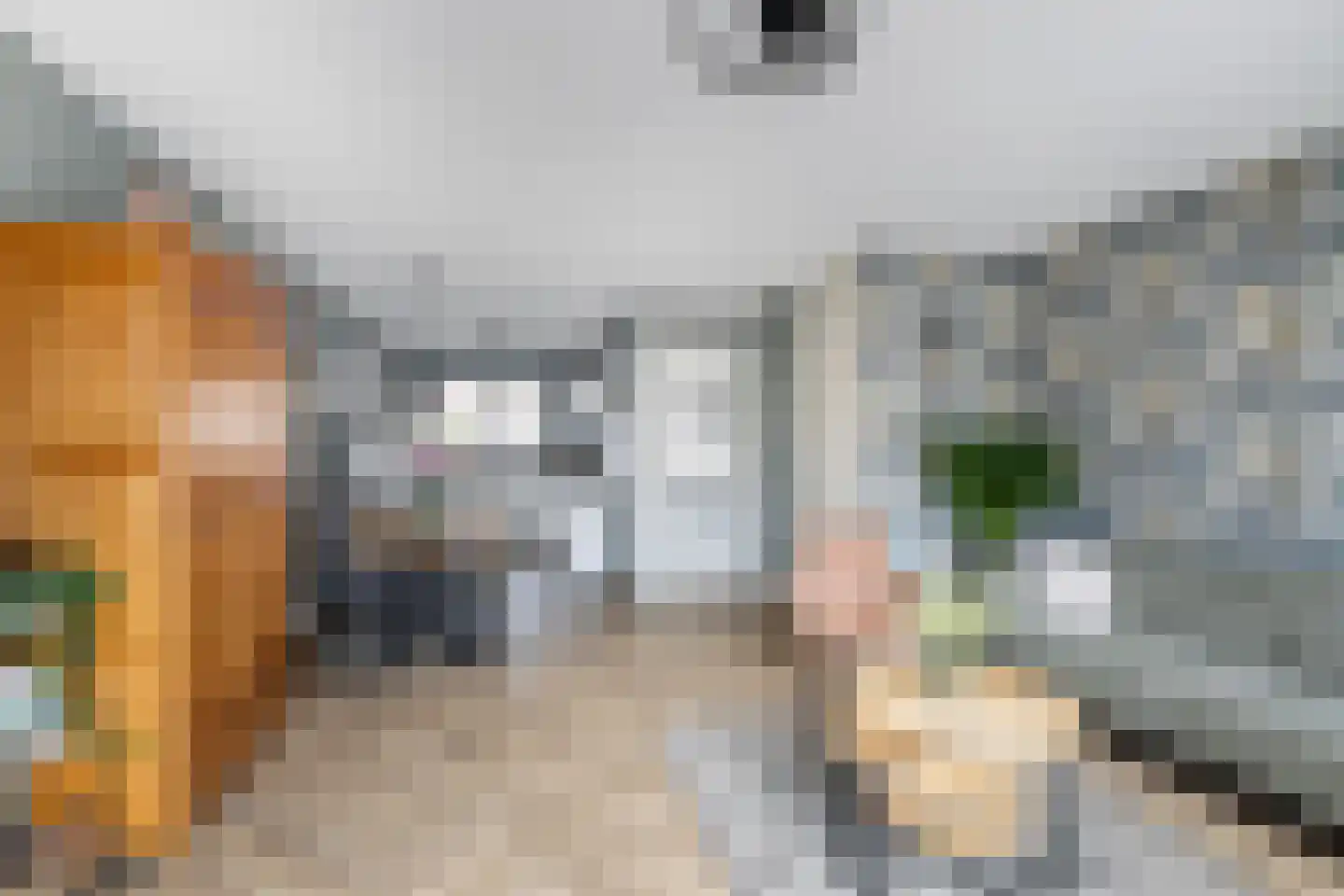 Zilverzand 26 Naaldwijk thumbnail 4