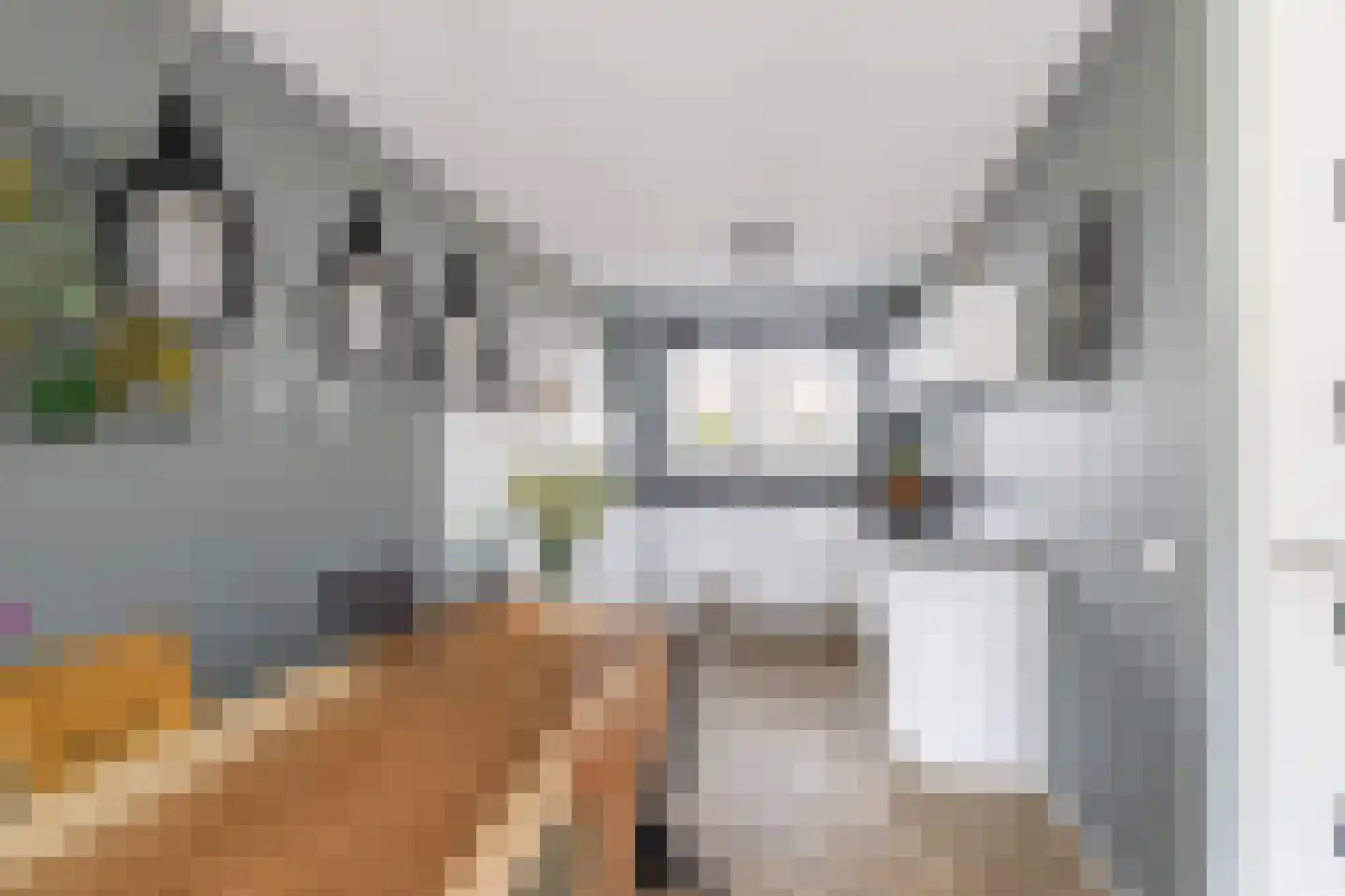 Zilverzand 26 Naaldwijk thumbnail 5