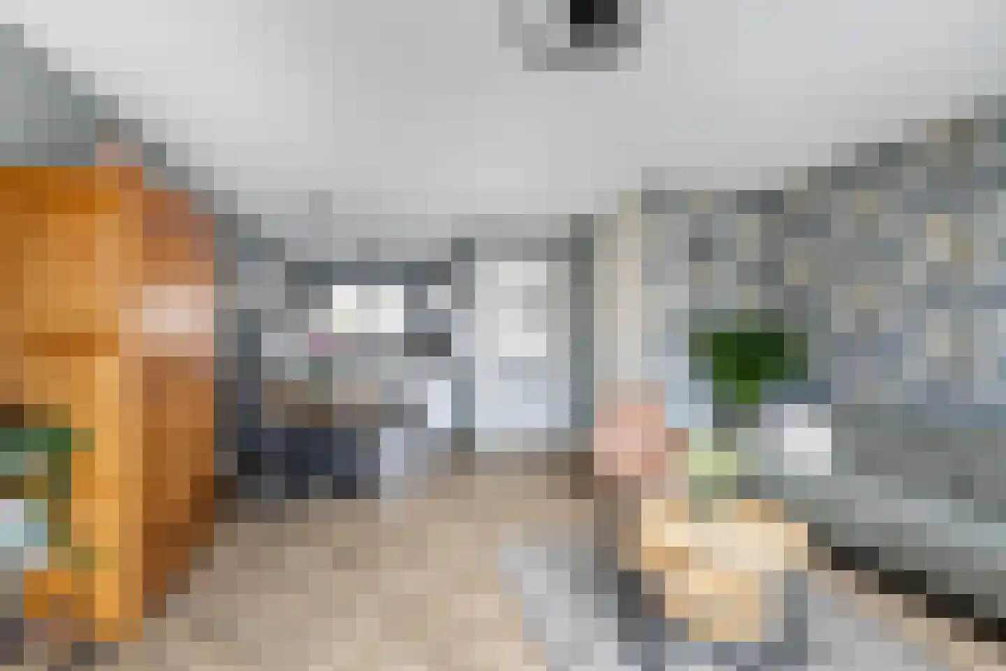 Zilverzand 26 Naaldwijk thumbnail 6