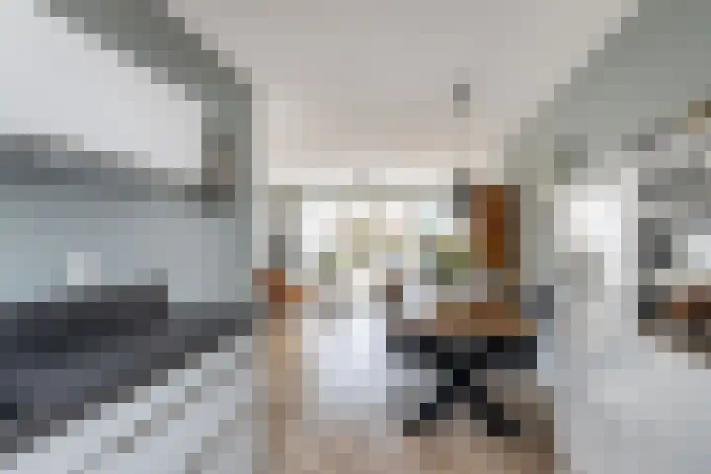 Zilverzand 26 Naaldwijk thumbnail 8