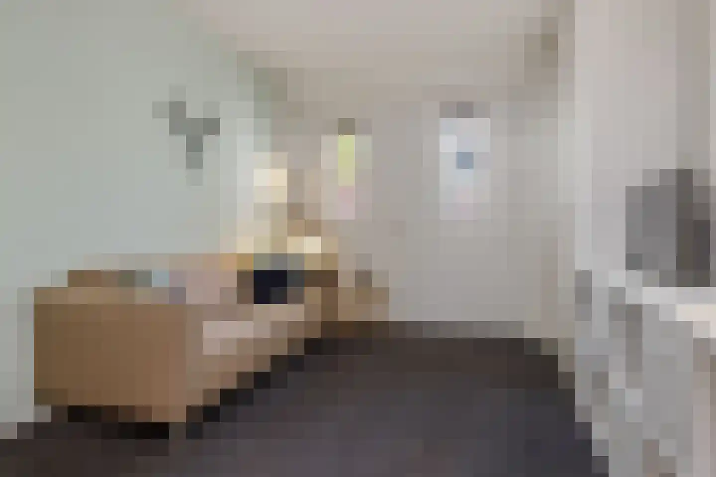 Zilverzand 28 Oirschot thumbnail 20