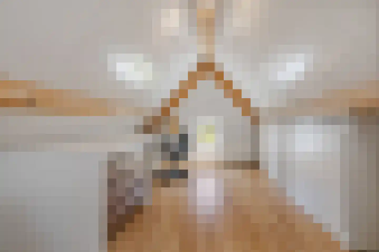 Zilverzand 28 Oirschot thumbnail 33