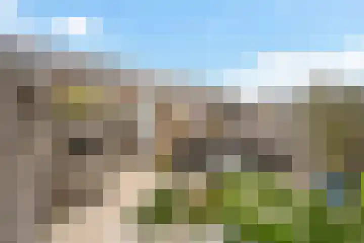 Zilverzand 3 Naaldwijk thumbnail 12
