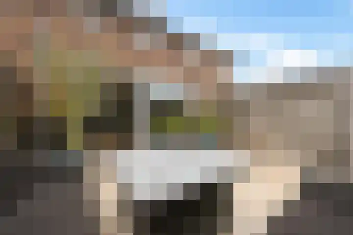 Zilverzand 3 Naaldwijk thumbnail 16