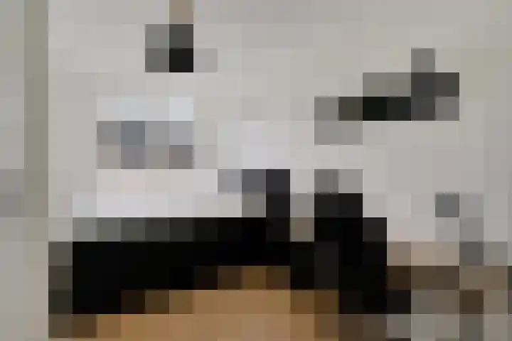 Zilverzand 3 Naaldwijk thumbnail 20