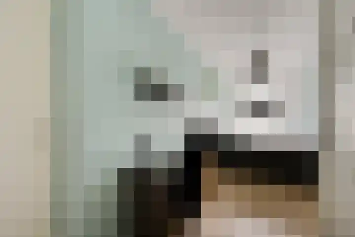 Zilverzand 3 Naaldwijk thumbnail 27