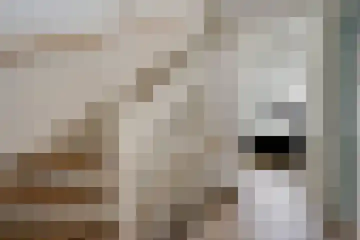Zilverzand 3 Naaldwijk thumbnail 29