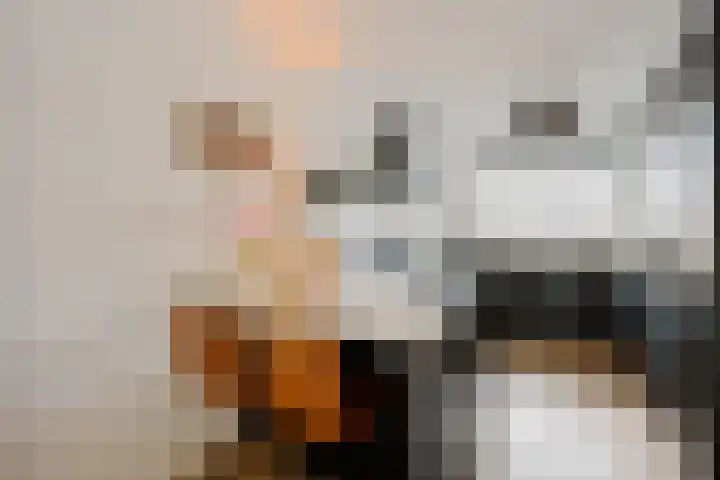 Zilverzand 3 Naaldwijk thumbnail 6