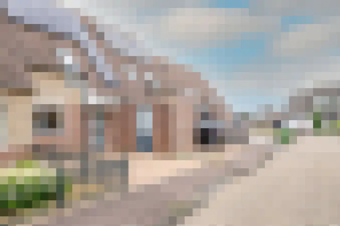 Zilverzand 57 Nieuw-Amsterdam thumbnail 8