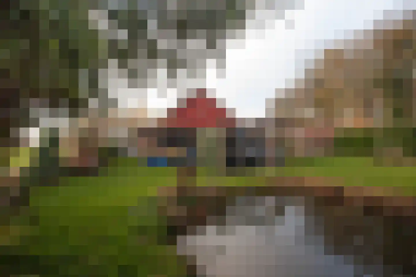 Zimmelinksdiek 2 Winterswijk Meddo thumbnail 10
