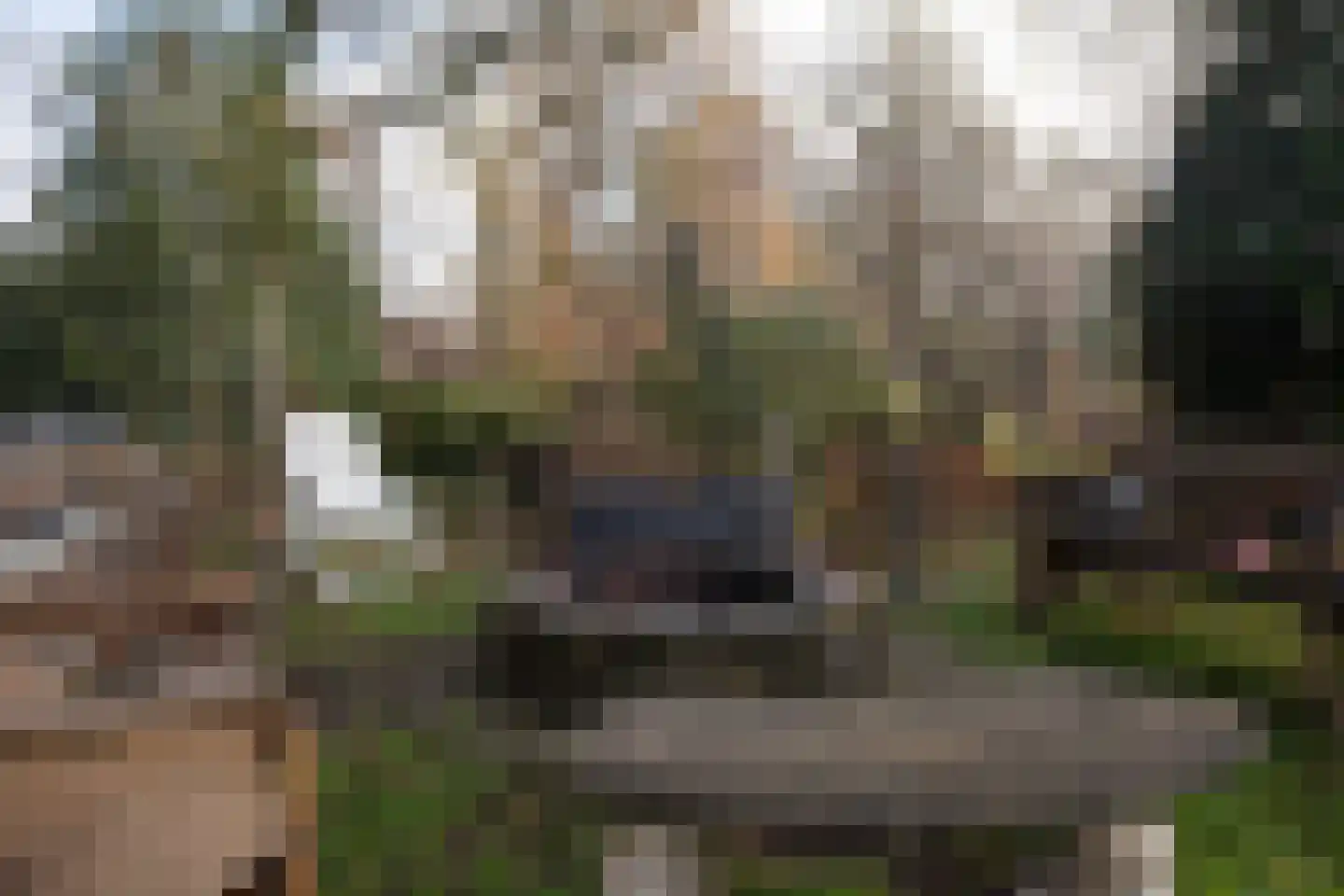 Zimmelinksdiek 2 Winterswijk Meddo thumbnail 12