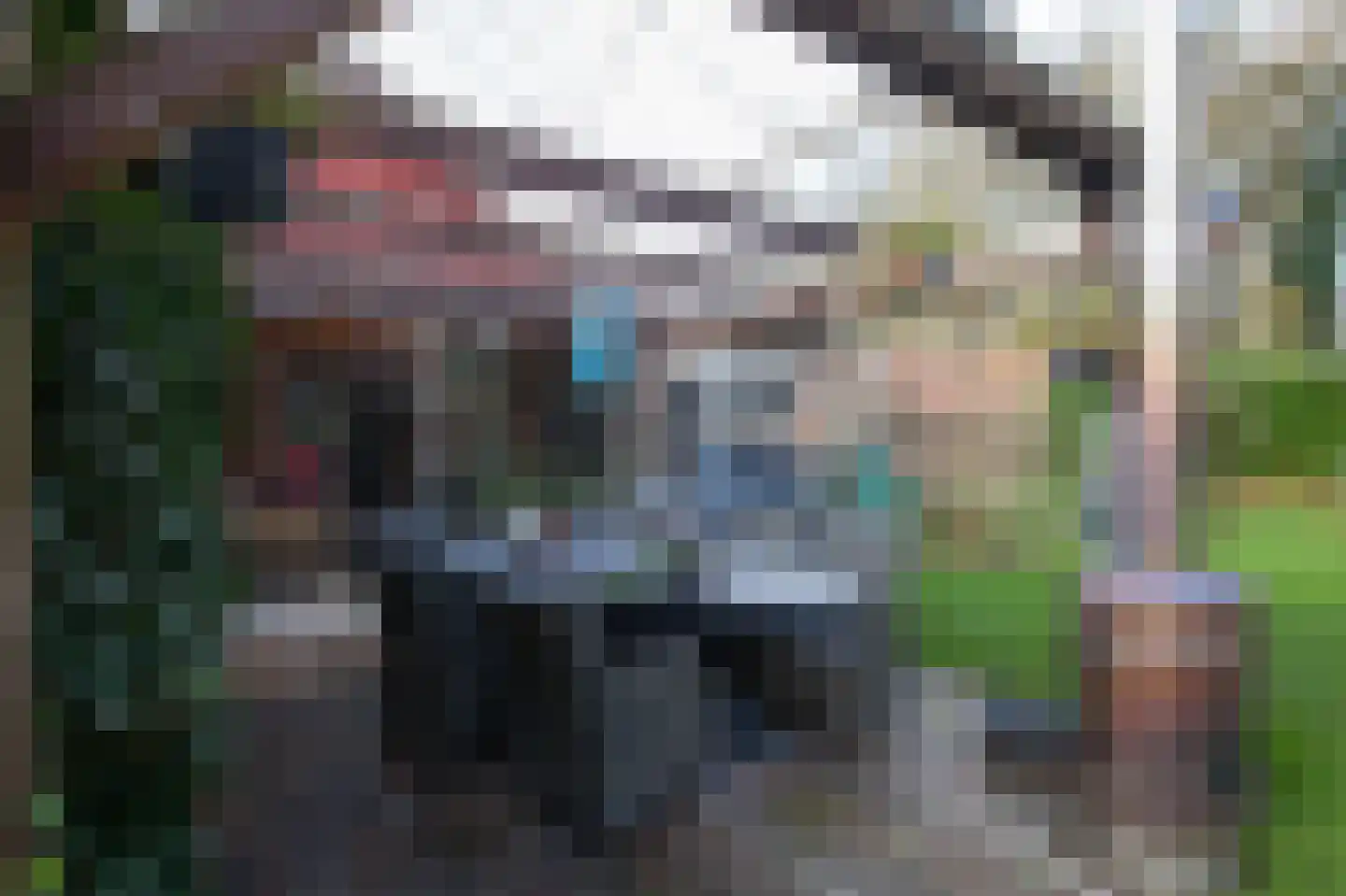 Zimmelinksdiek 2 Winterswijk Meddo thumbnail 13
