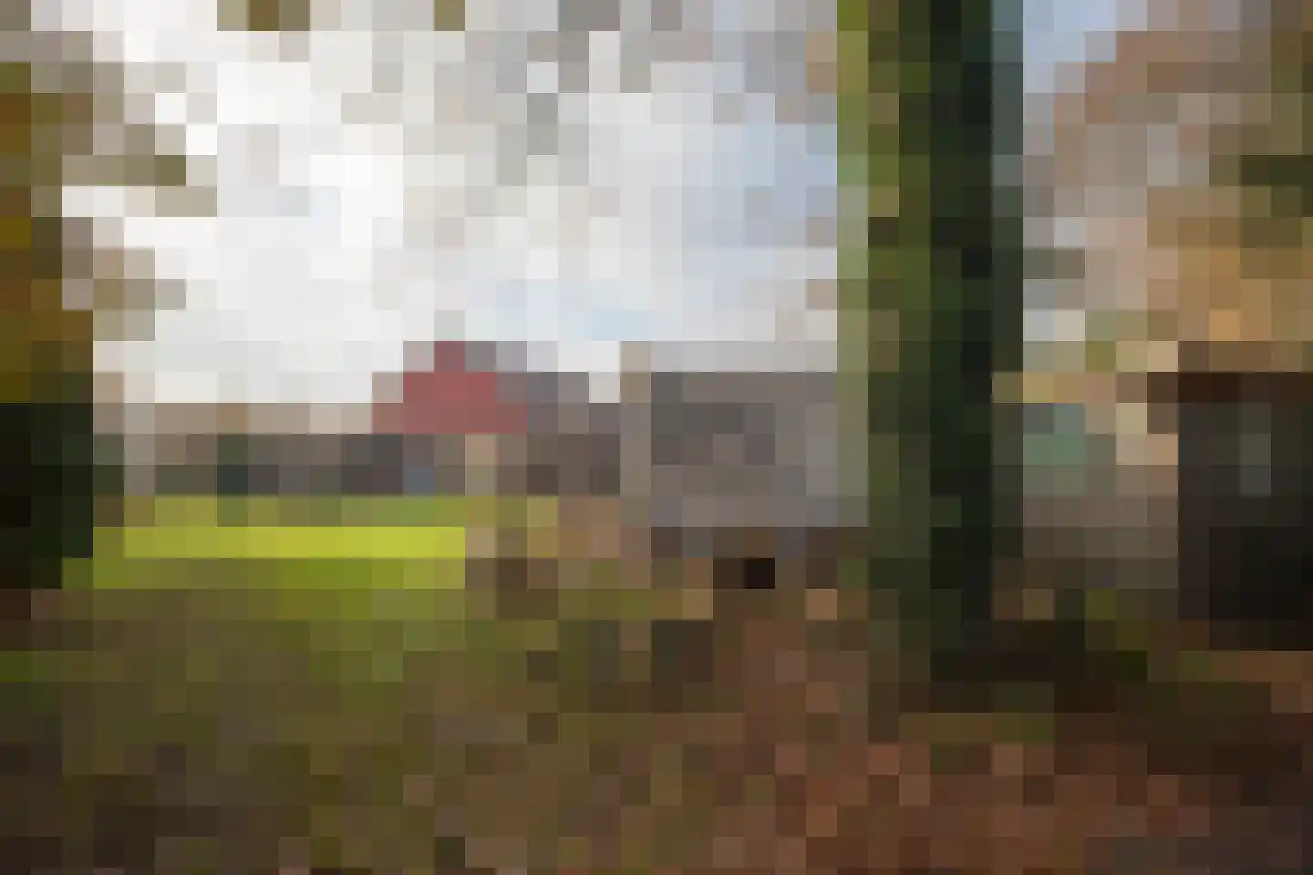 Zimmelinksdiek 2 Winterswijk Meddo thumbnail 15