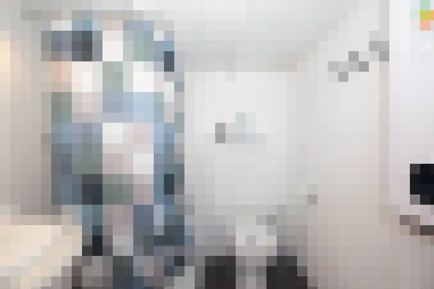 Zimmelinksdiek 2 Winterswijk Meddo thumbnail 16