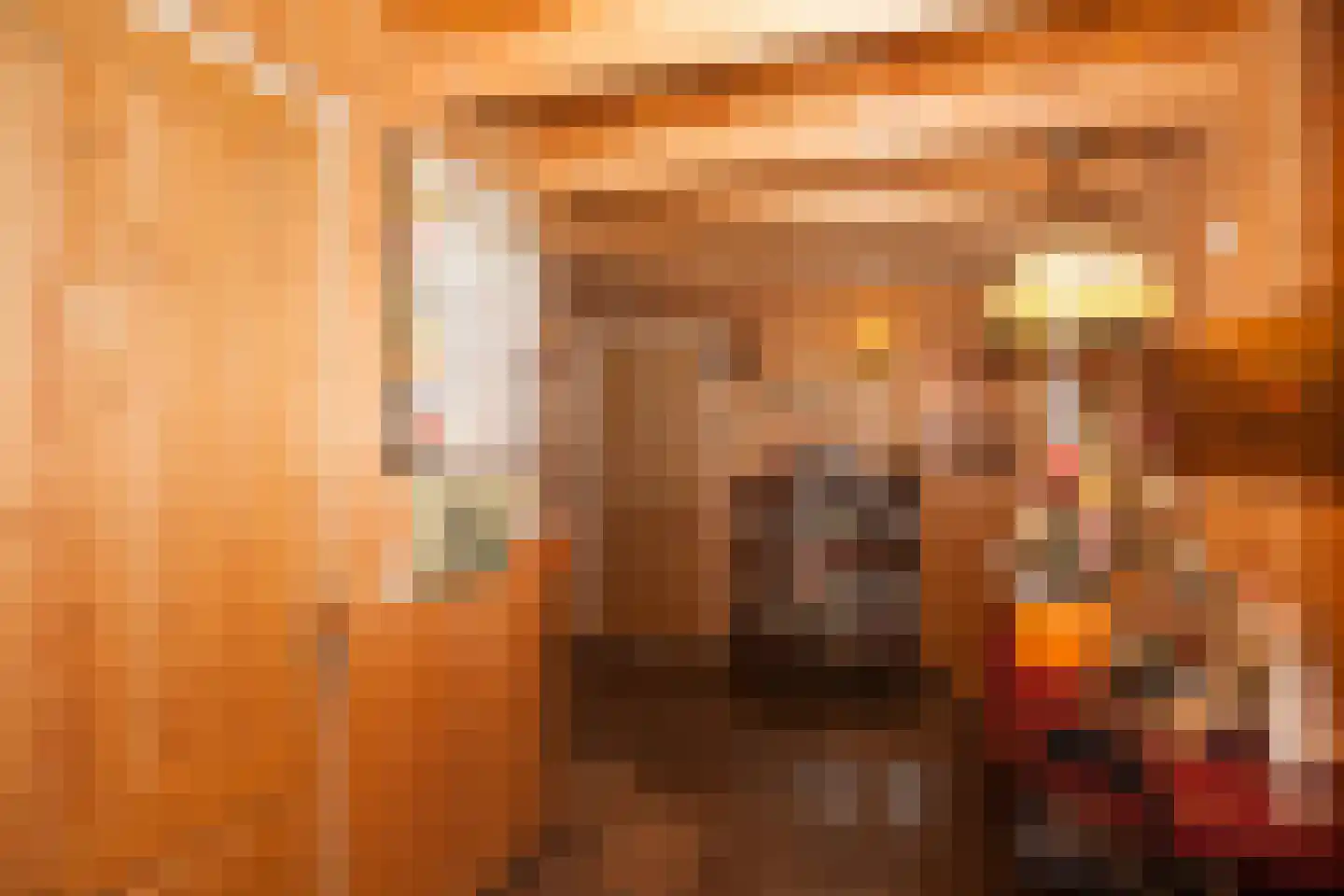Zimmelinksdiek 2 Winterswijk Meddo thumbnail 19