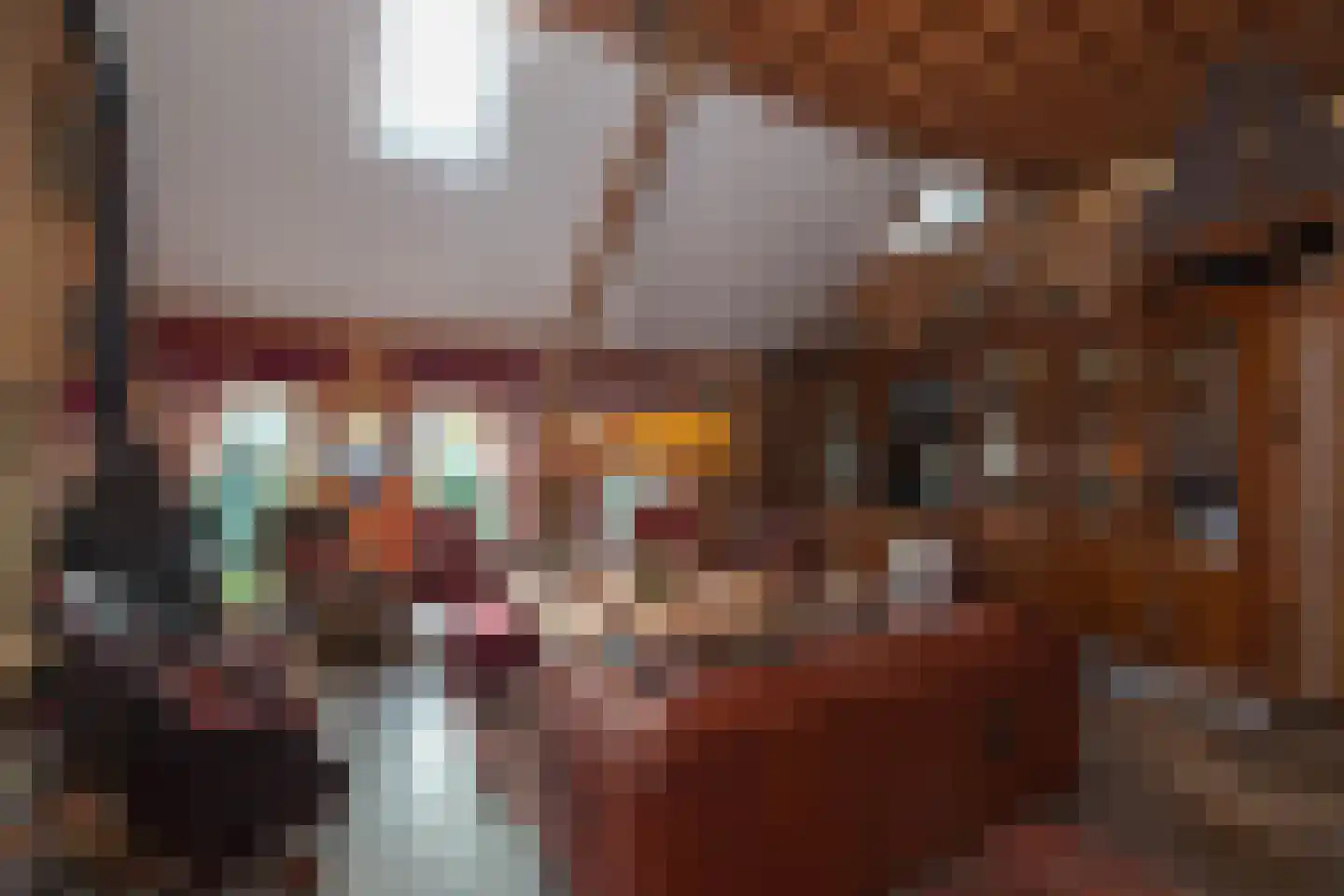 Zimmelinksdiek 2 Winterswijk Meddo thumbnail 22