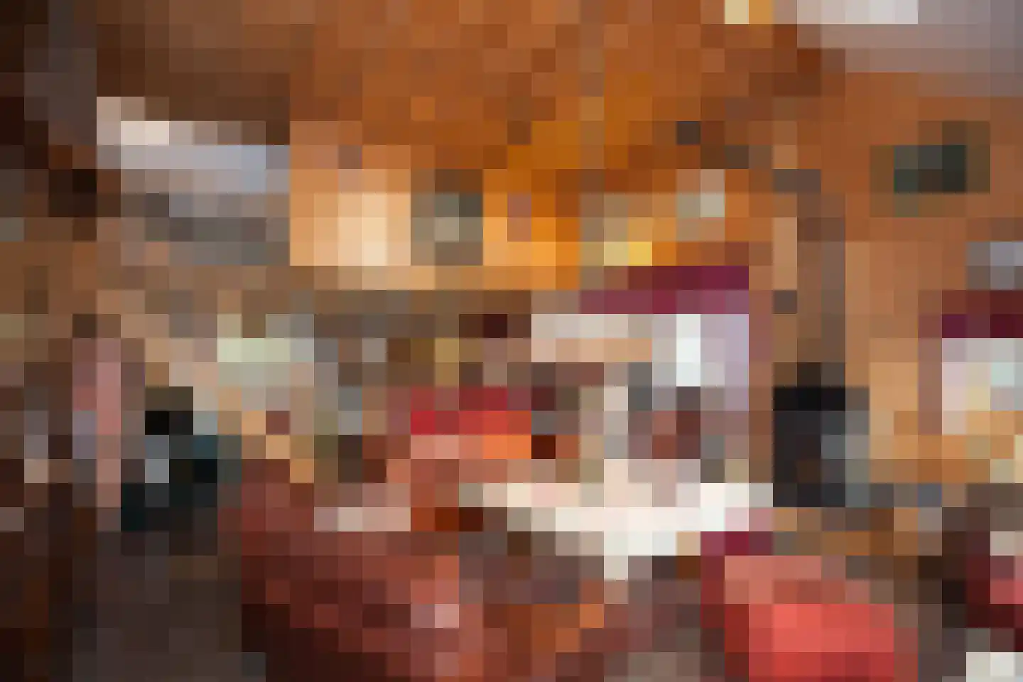Zimmelinksdiek 2 Winterswijk Meddo thumbnail 24