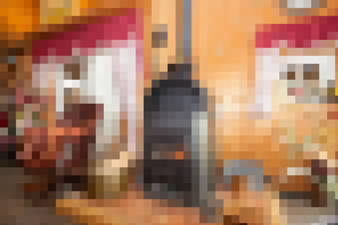 Zimmelinksdiek 2 Winterswijk Meddo thumbnail 25