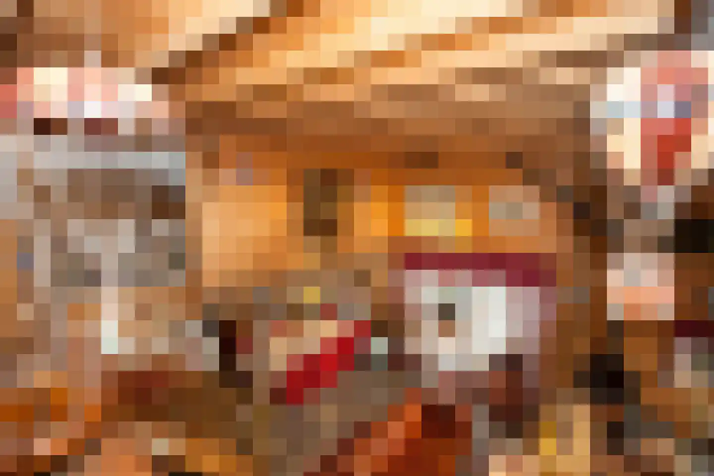 Zimmelinksdiek 2 Winterswijk Meddo thumbnail 26