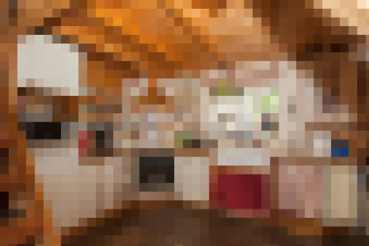 Zimmelinksdiek 2 Winterswijk Meddo thumbnail 28