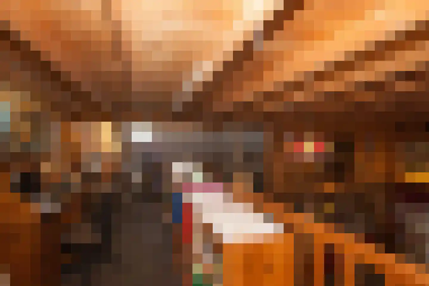 Zimmelinksdiek 2 Winterswijk Meddo thumbnail 30