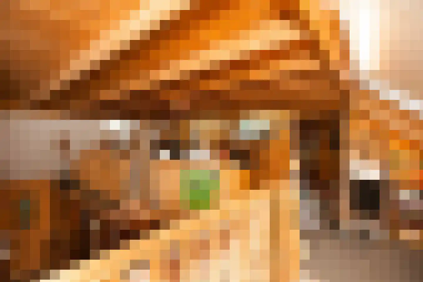 Zimmelinksdiek 2 Winterswijk Meddo thumbnail 31